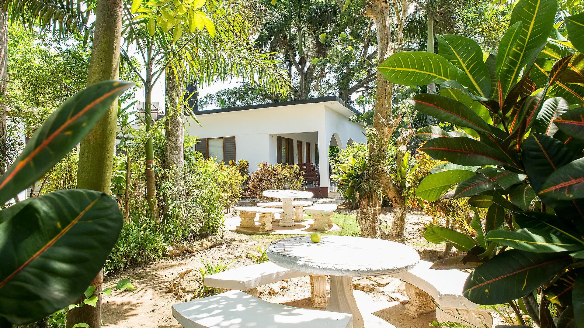 Cottages At Yoga Center Negril Hotel