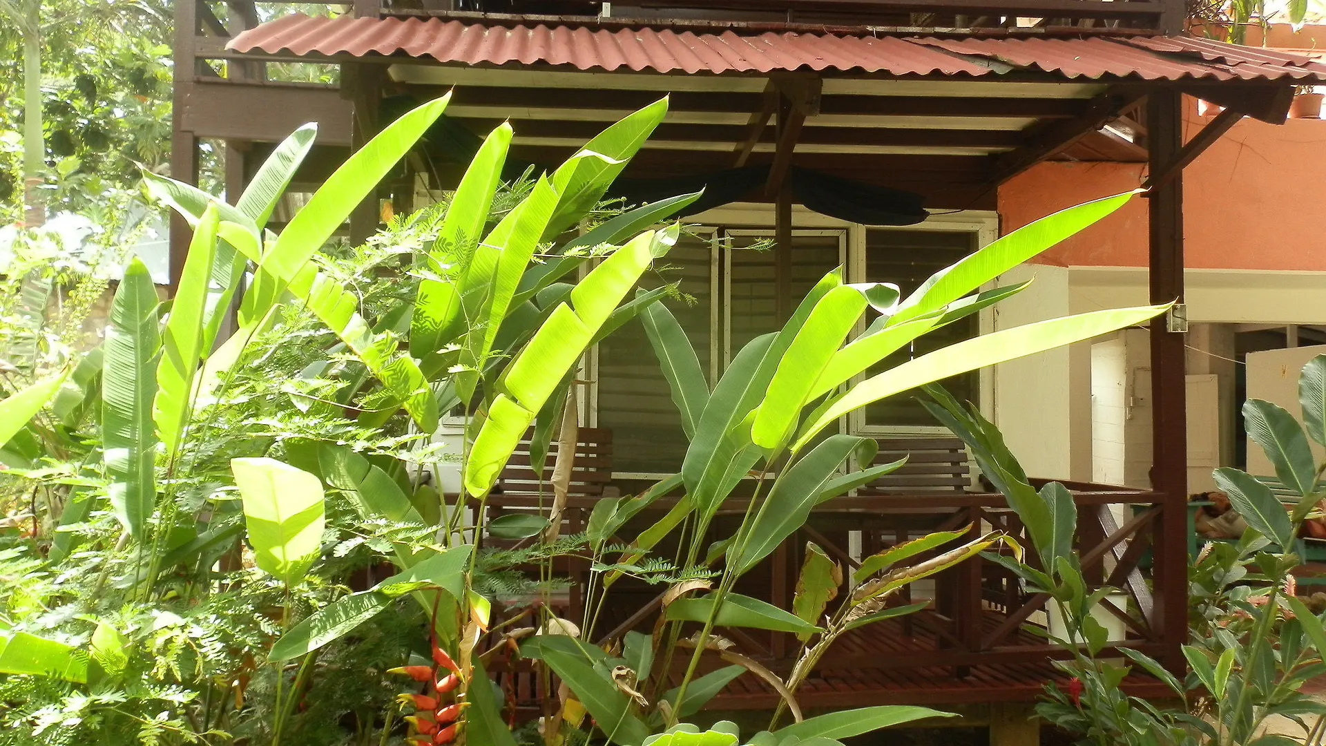 Cottages At Yoga Center Negril Jamaica